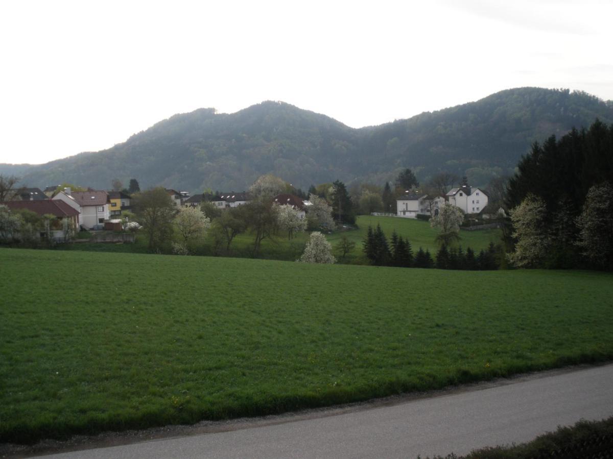 Haus Kloibhofer Hotel Grein Luaran gambar